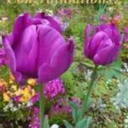 ヒメ日記 2025/03/01 12:35 投稿 上下　ことね ギン妻パラダイス 谷九店