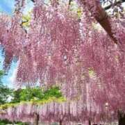 ヒメ日記 2025/03/03 21:22 投稿 上下　ことね ギン妻パラダイス 谷九店