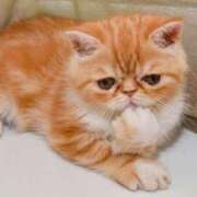 ヒメ日記 2025/03/05 21:08 投稿 上下　ことね ギン妻パラダイス 谷九店