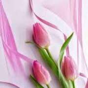 ヒメ日記 2025/03/06 18:48 投稿 上下　ことね ギン妻パラダイス 谷九店