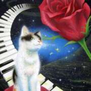 ヒメ日記 2025/03/10 16:30 投稿 上下　ことね ギン妻パラダイス 谷九店