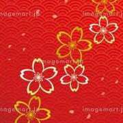 ヒメ日記 2025/03/23 17:09 投稿 上下　ことね ギン妻パラダイス 谷九店