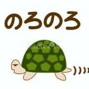 ヒメ日記 2025/03/23 18:35 投稿 上下　ことね ギン妻パラダイス 谷九店