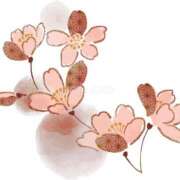 ヒメ日記 2025/04/06 13:09 投稿 上下　ことね ギン妻パラダイス 谷九店