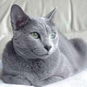 ヒメ日記 2025/04/16 12:52 投稿 上下　ことね ギン妻パラダイス 谷九店