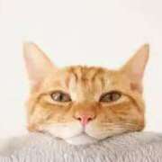 ヒメ日記 2025/04/20 19:21 投稿 上下　ことね ギン妻パラダイス 谷九店