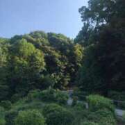 ヒメ日記 2025/06/21 13:21 投稿 上下　ことね ギン妻パラダイス 谷九店