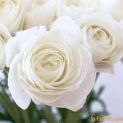 ヒメ日記 2025/06/24 20:03 投稿 上下　ことね ギン妻パラダイス 谷九店