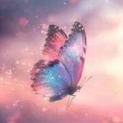 ヒメ日記 2025/06/24 20:24 投稿 上下　ことね ギン妻パラダイス 谷九店