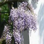 ヒメ日記 2025/06/30 21:00 投稿 上下　ことね ギン妻パラダイス 谷九店