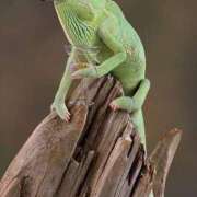 ヒメ日記 2025/09/14 13:15 投稿 上下　ことね ギン妻パラダイス 谷九店