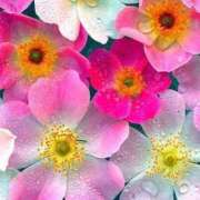 ヒメ日記 2025/10/11 21:10 投稿 上下　ことね ギン妻パラダイス 谷九店