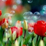 ヒメ日記 2025/10/13 23:00 投稿 上下　ことね ギン妻パラダイス 谷九店