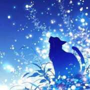 ヒメ日記 2025/10/14 17:07 投稿 上下　ことね ギン妻パラダイス 谷九店