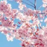 ヒメ日記 2025/10/17 15:35 投稿 上下　ことね ギン妻パラダイス 谷九店