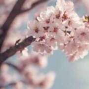 ヒメ日記 2025/10/17 18:26 投稿 上下　ことね ギン妻パラダイス 谷九店