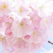 ヒメ日記 2025/10/18 23:00 投稿 上下　ことね ギン妻パラダイス 谷九店