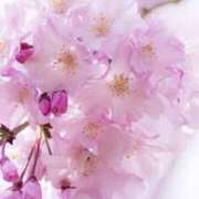 ヒメ日記 2025/10/20 10:00 投稿 上下　ことね ギン妻パラダイス 谷九店