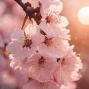 ヒメ日記 2025/10/21 10:00 投稿 上下　ことね ギン妻パラダイス 谷九店