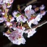 ヒメ日記 2025/10/24 19:15 投稿 上下　ことね ギン妻パラダイス 谷九店