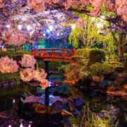 ヒメ日記 2025/10/24 20:15 投稿 上下　ことね ギン妻パラダイス 谷九店