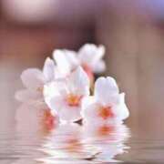 ヒメ日記 2025/10/25 13:27 投稿 上下　ことね ギン妻パラダイス 谷九店