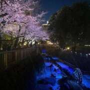 ヒメ日記 2025/10/25 18:15 投稿 上下　ことね ギン妻パラダイス 谷九店