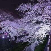 ヒメ日記 2025/10/25 23:00 投稿 上下　ことね ギン妻パラダイス 谷九店