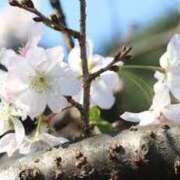 ヒメ日記 2025/10/26 17:01 投稿 上下　ことね ギン妻パラダイス 谷九店