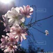 ヒメ日記 2025/10/26 23:00 投稿 上下　ことね ギン妻パラダイス 谷九店