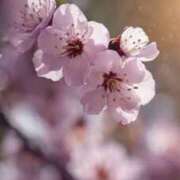 ヒメ日記 2025/10/27 21:33 投稿 上下　ことね ギン妻パラダイス 谷九店