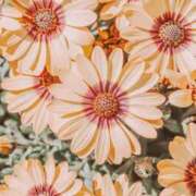 ヒメ日記 2025/10/28 13:20 投稿 上下　ことね ギン妻パラダイス 谷九店