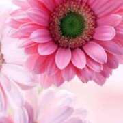 ヒメ日記 2025/10/29 09:48 投稿 上下　ことね ギン妻パラダイス 谷九店