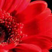 ヒメ日記 2025/10/29 17:01 投稿 上下　ことね ギン妻パラダイス 谷九店