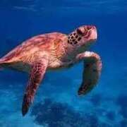 ヒメ日記 2025/11/04 14:32 投稿 上下　ことね ギン妻パラダイス 谷九店