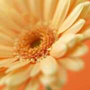 ヒメ日記 2025/11/05 09:44 投稿 上下　ことね ギン妻パラダイス 谷九店