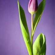 ヒメ日記 2025/11/16 09:28 投稿 上下　ことね ギン妻パラダイス 谷九店