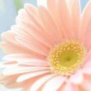 ヒメ日記 2025/11/21 23:01 投稿 上下　ことね ギン妻パラダイス 谷九店