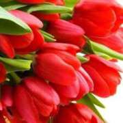 ヒメ日記 2025/11/26 23:01 投稿 上下　ことね ギン妻パラダイス 谷九店