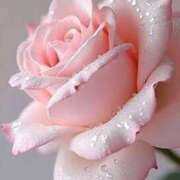 ヒメ日記 2025/12/02 10:30 投稿 上下　ことね ギン妻パラダイス 谷九店