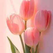 ヒメ日記 2026/03/20 15:01 投稿 上下　ことね ギン妻パラダイス 谷九店