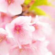 ヒメ日記 2026/03/31 22:37 投稿 上下　ことね ギン妻パラダイス 谷九店