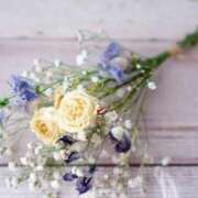 ヒメ日記 2025/12/22 14:27 投稿 あゆ ベイキュート