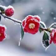 あゆ １ヶ月試した結果… ベイキュート