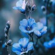 ヒメ日記 2026/02/15 11:17 投稿 あゆ ベイキュート