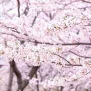 ヒメ日記 2026/03/25 12:21 投稿 あゆ ベイキュート