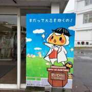 ヒメ日記 2025/10/31 13:09 投稿 こはね CECIL