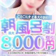 こはね おはようございます‼️ CECIL