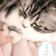 ヒメ日記 2025/02/06 15:00 投稿 すず モアグループ小山人妻花壇