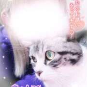 ヒメ日記 2025/03/04 19:00 投稿 すず モアグループ小山人妻花壇